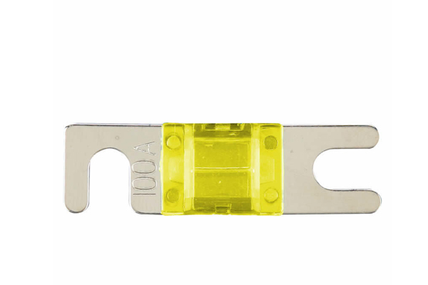  MANL100-10 / Mini ANL 100 AMP Fuse