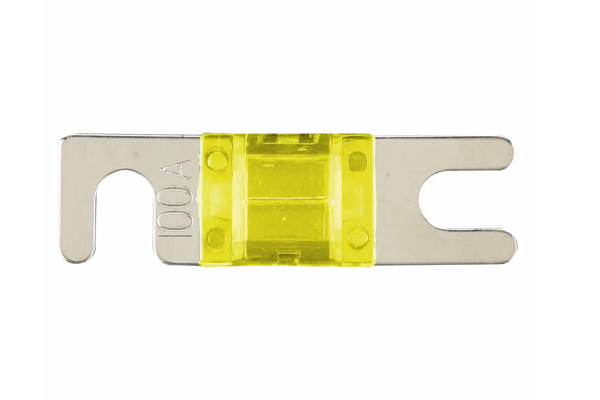  MANL100 / Mini ANL 100 AMP Fuse - Package of 2